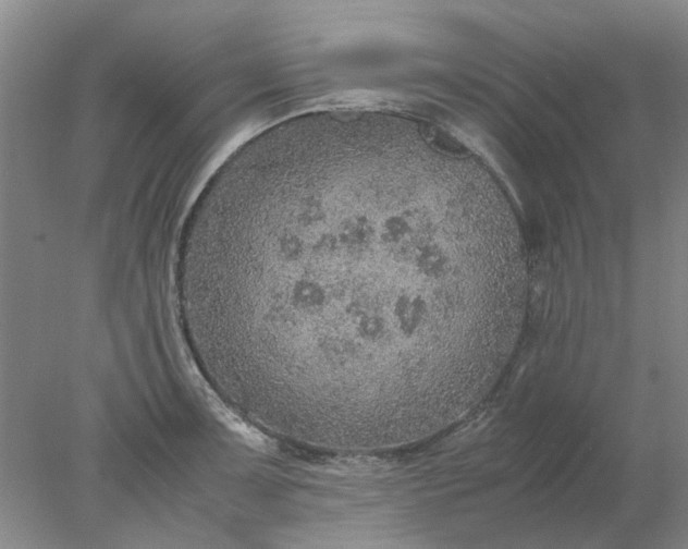 X0000077991091200611101722