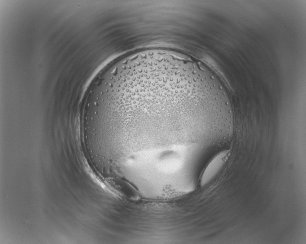 X0000077991092200611101722