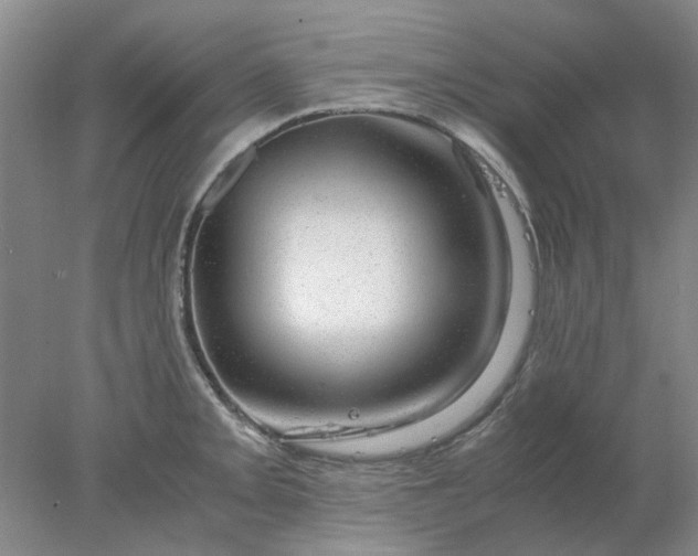 X0000077991093200611101722