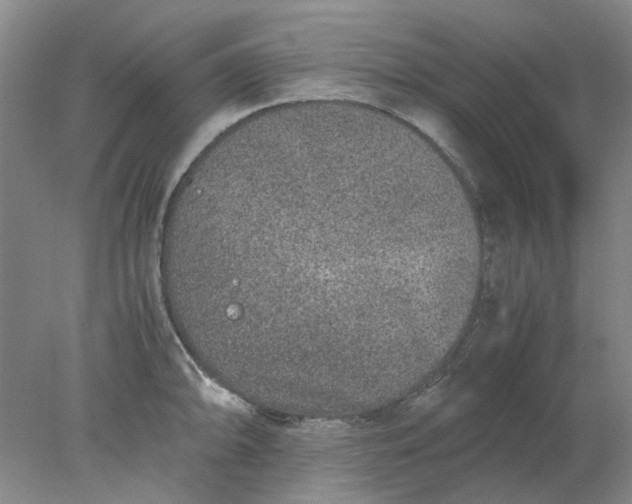 X0000077991094200611101722