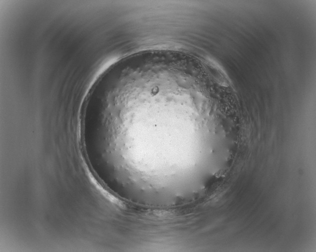 X0000077991095200611101722