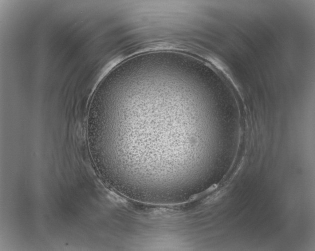 X0000077991097200611101722