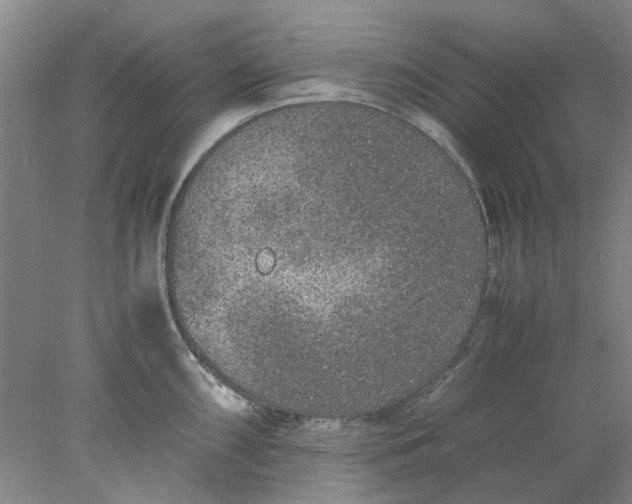 X0000077991098200611101722