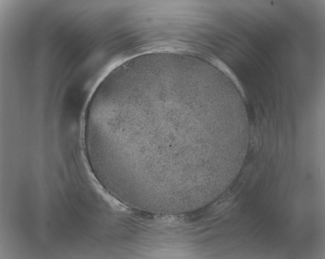 X0000077991099200611101722