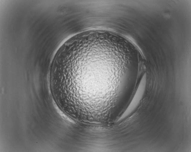 X0000077991100200611101722