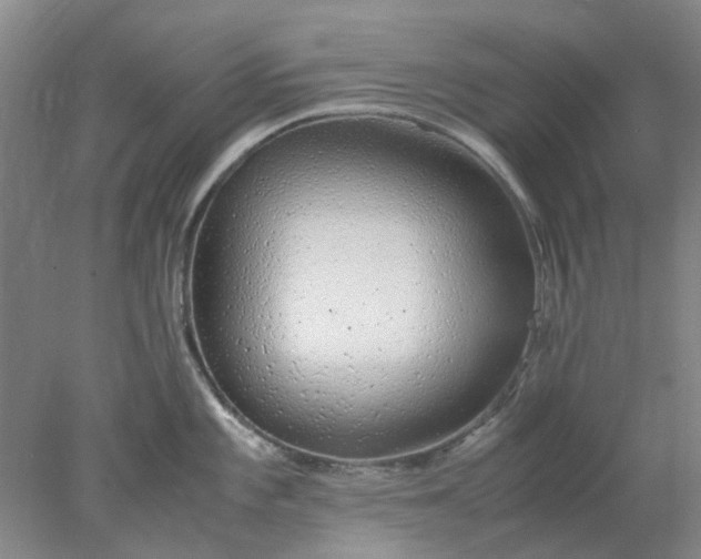 X0000077991101200611101722