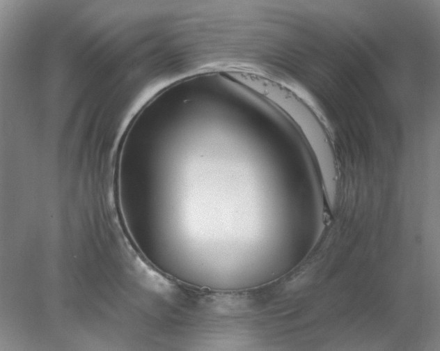 X0000077991102200611101722