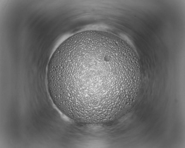 X0000077991103200611101722