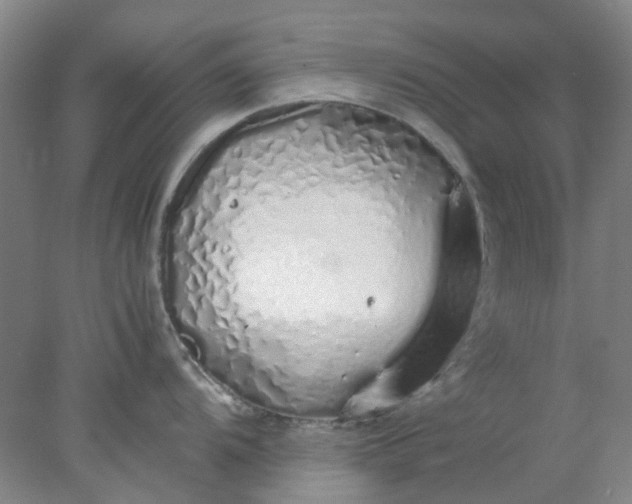 X0000077991104200611101722