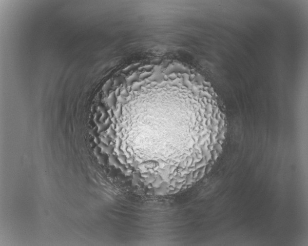 X0000077991105200611101721