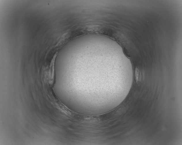 X0000077991107200611101721