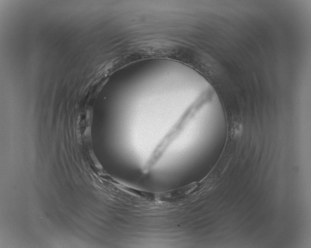 X0000077991108200611101721