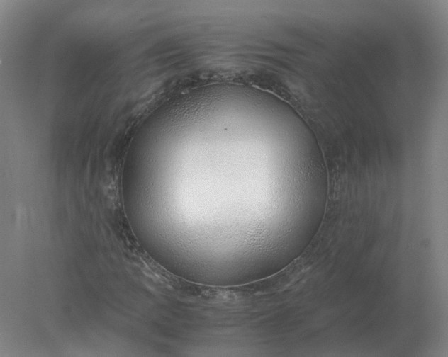 X0000077991109200611101721