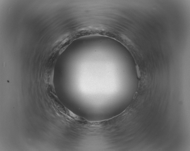 X0000077991110200611101721