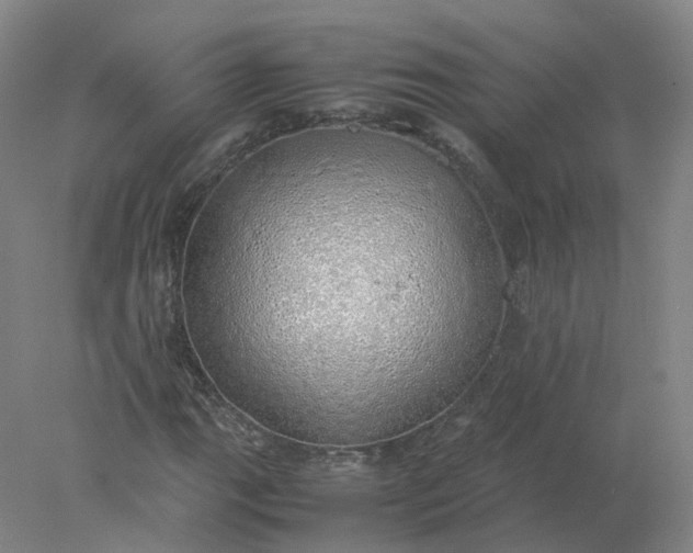 X0000077991111200611101721