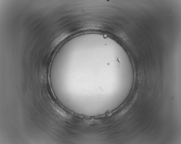 X0000077991113200611101721