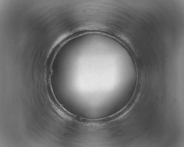 X0000077991114200611101721