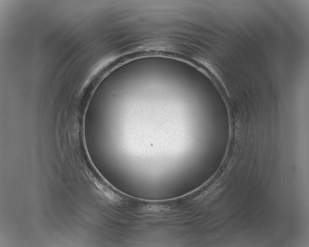 X0000077991115200611101721