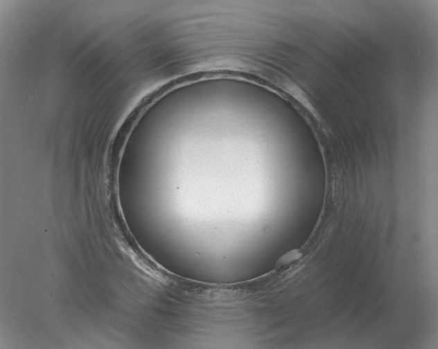 X0000077991116200611101721