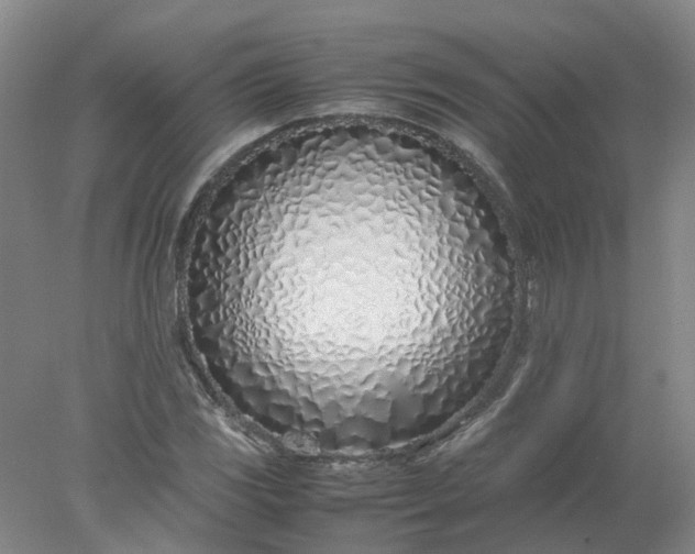 X0000077991117200611101721