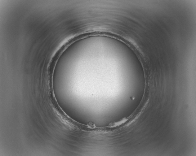 X0000077991118200611101721