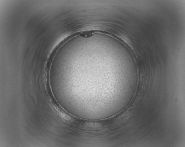 X0000077991119200611101721