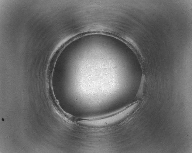 X0000077991120200611101721