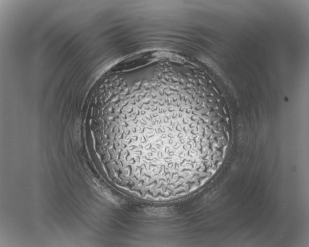 X0000077991121200611101721