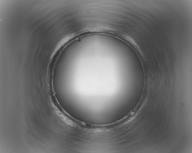 X0000077991122200611101721