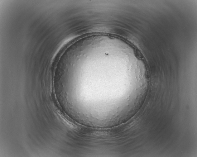 X0000077991123200611101721