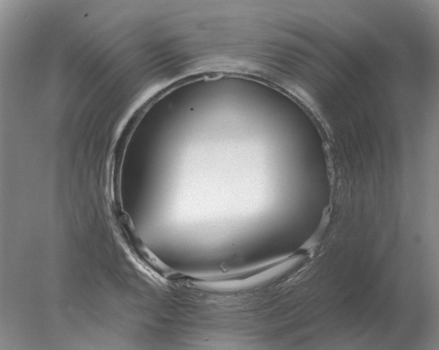 X0000077991128200611101721