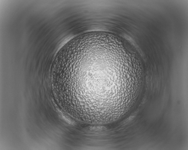 X0000077991129200611101721