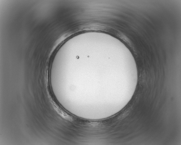 X0000077991130200611101721