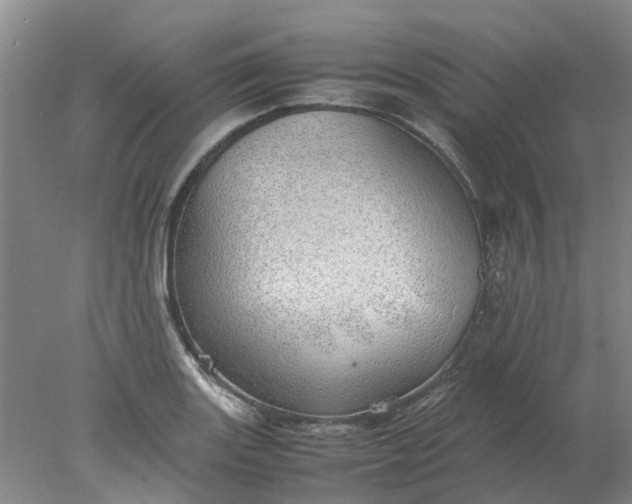 X0000077991131200611101721