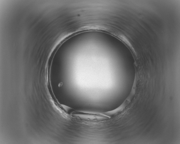 X0000077991132200611101721