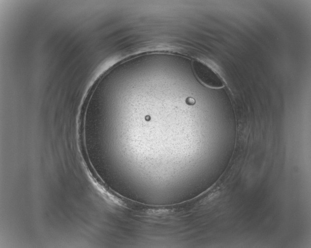 X0000077991135200611101721