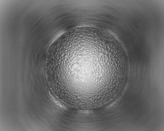 X0000077991137200611101721