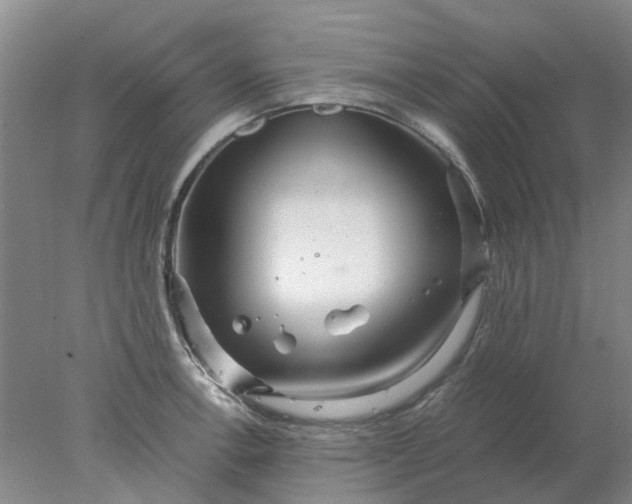 X0000077991138200611101721