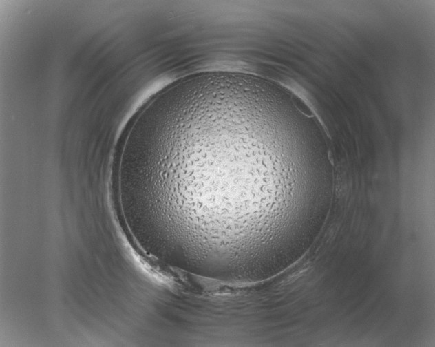 X0000077991139200611101721