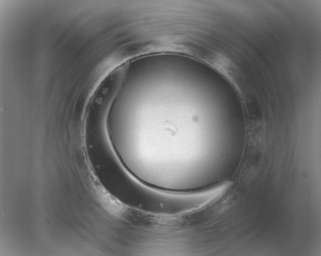 X0000077991140200611101721