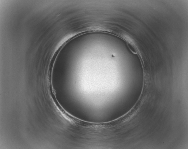 X0000077991141200611101721