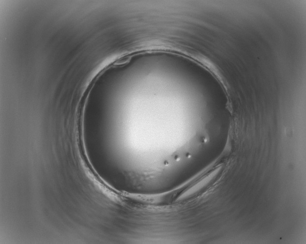 X0000077991142200611101721