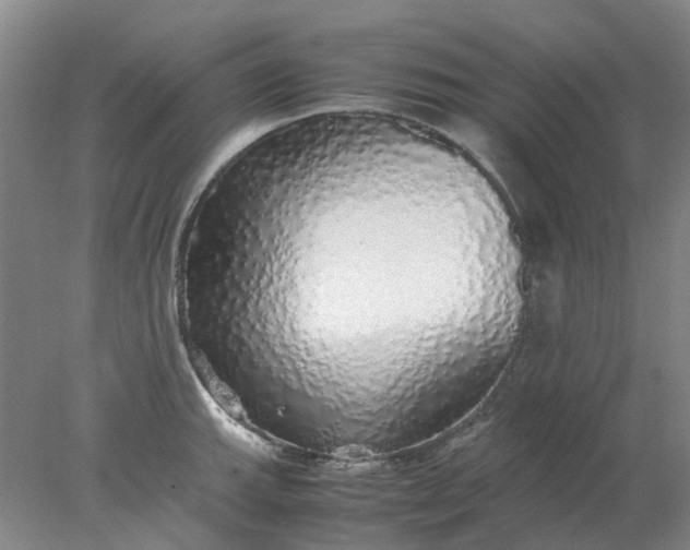 X0000077991143200611101721