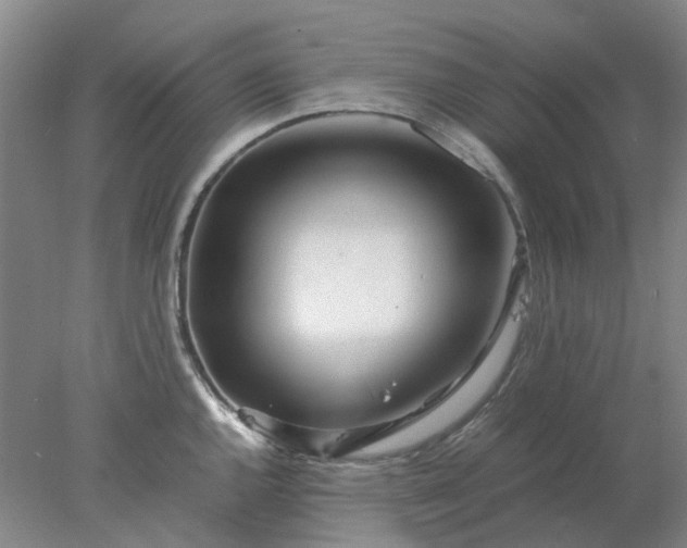 X0000077991144200611101721