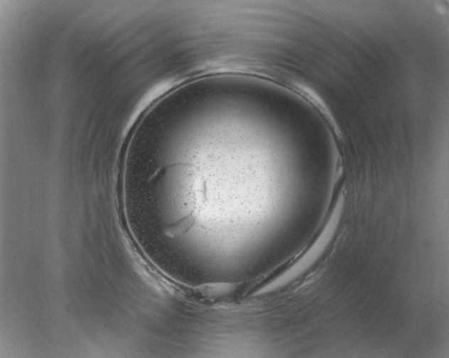 X0000077991146200611101721