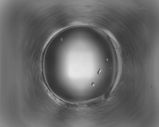 X0000077991148200611101721