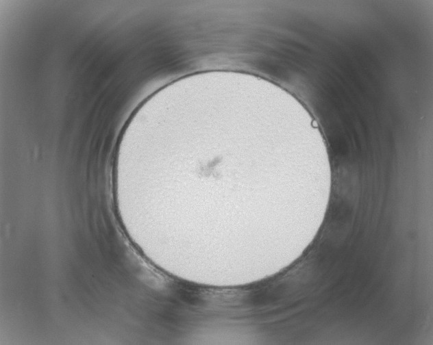 X0000077991150200611101721