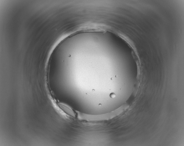 X0000077991152200611101721