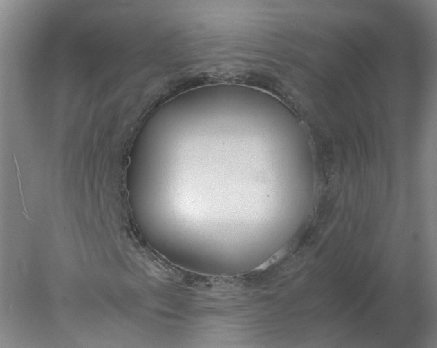 X0000077991153200611101721