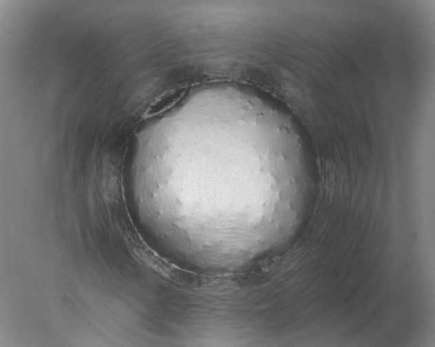 X0000077991154200611101721